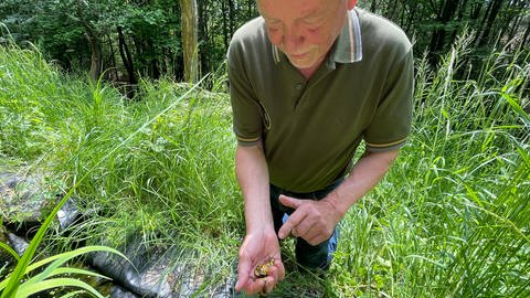 Peter Kampka kümmert sich seit Jahren um die gefährdeten Gelbbauchunken im Kondelwald. Er wohnt nur wenige Meter von den Tümpeln entfernt, in den auch die Gelbbauchunken leben. 