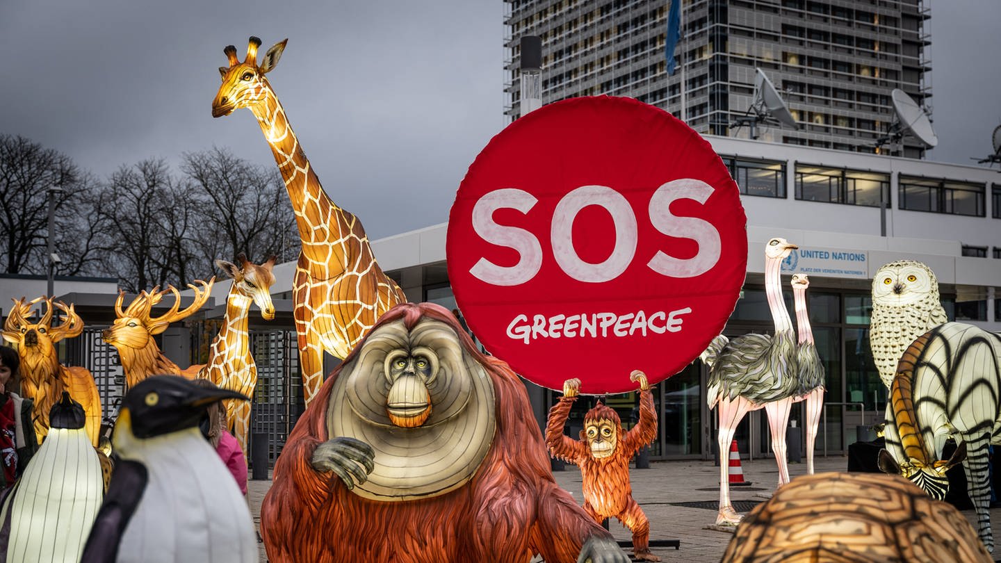 Greenpeace-Aktion mit erleuchteten Wildtieren vor dem Konferenzgebäude in Montreal. (Foto: dpa Bildfunk, picture alliance/dpa | Christian Knieps)