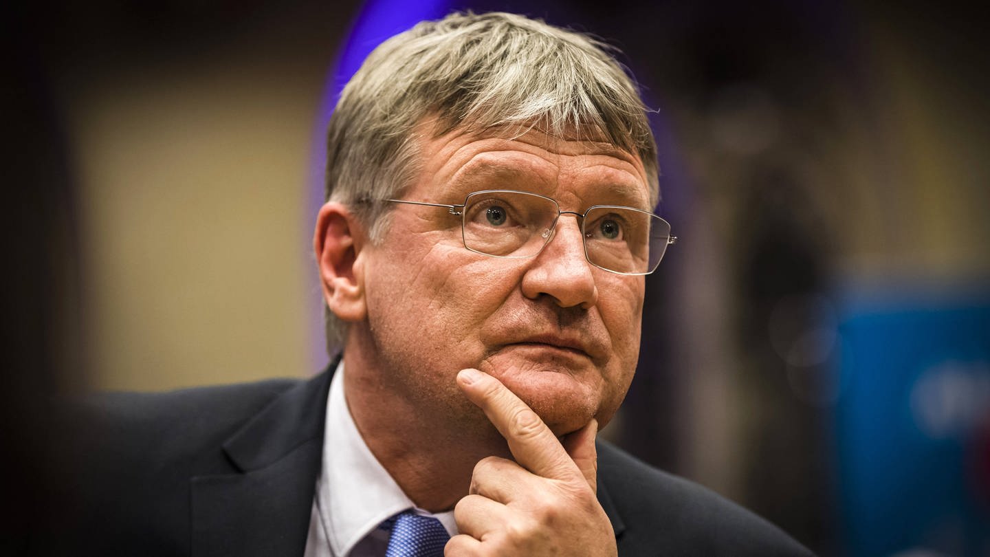 Jörg Meuthen, AfD-Spitzenkandidat