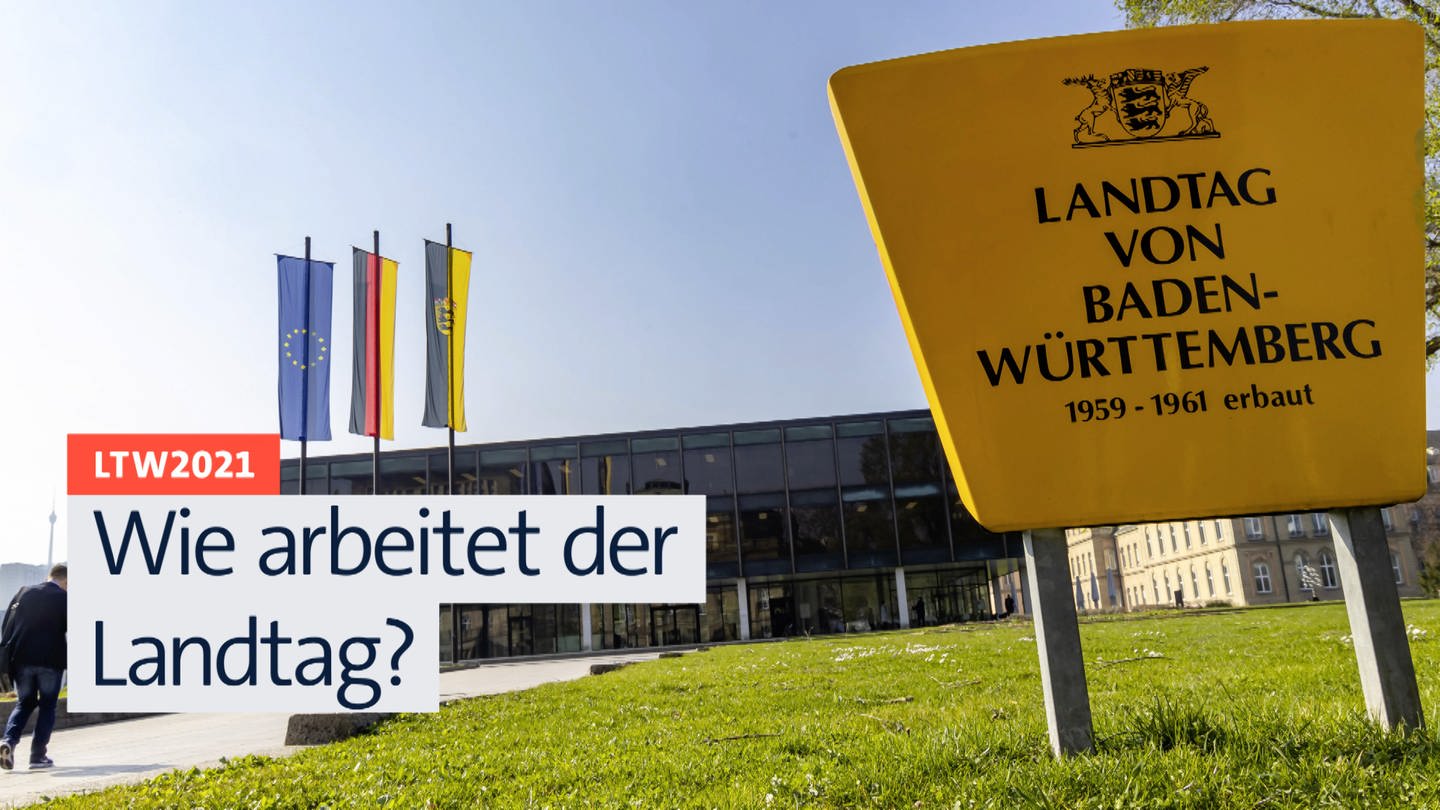 Wie arbeitet der Landtag? (Foto: SWR)