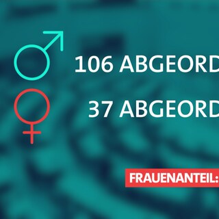 Grafik Frauen im Landtag von Baden-Württemberg (Foto: SWR)