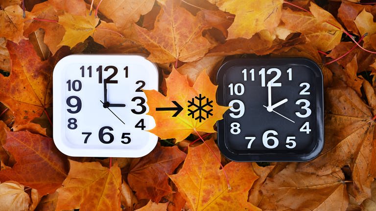 Zwei Uhren auf Herbstblättern, Symbolfoto für die Umstellung auf Winterzeit (Foto: IMAGO, IMAGO / Christian Ohde)