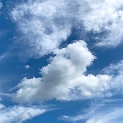 Blauer Himmel mit in der Mitte Wolken Altocumulus, im Hintergrund Schleierwolken Cirrostratus