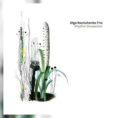 Das Album „Rhythm Dissection“ von Olga Reznichenko und ihrem Trio