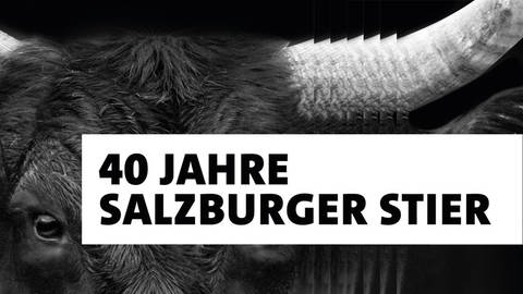 Schwarzer Kopf eines Stieres und der Schriftzug "40 Jahre Salzburger Stier" (Foto: SWR)