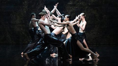 The Place of Choice, Chr.: Roman Novitzky, Tänzerinnen: Ensemble (Foto: Stuttgarter Ballett) The Place of Choice, Chr.: Roman Novitzky, Tänzerinnen: Ensemble