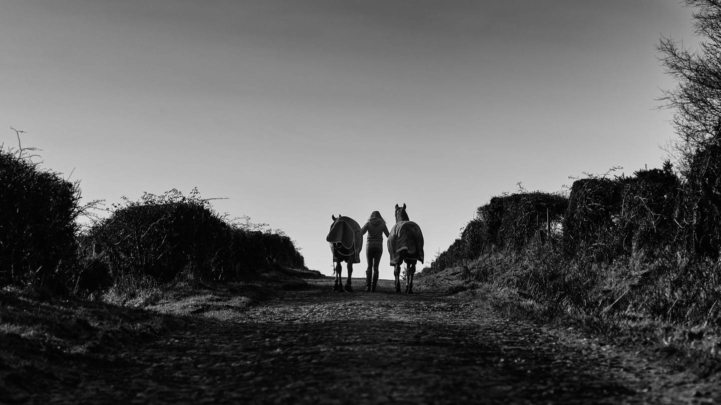 Eine Frau mit zwei Pferden auf einem Weg (Foto: Unsplash /Gary Ellis)