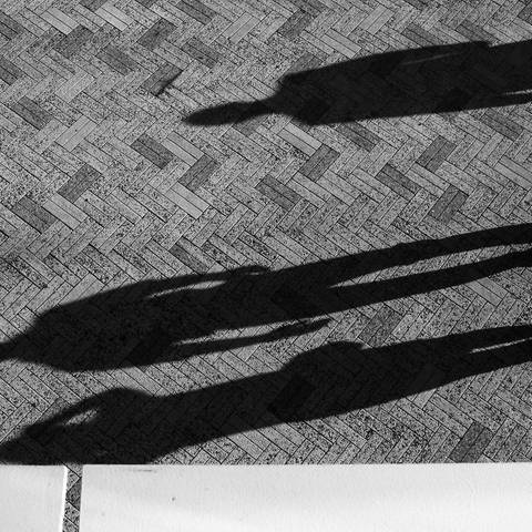 Lange Schatten von Menschen auf der Straße (Foto: Unsplash / Matthew Ansley)