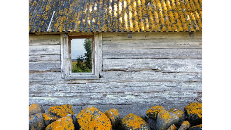 Traditionelles Haushaus auf der Insel Kihnu (Foto: Pressestelle, Julia Schulz)