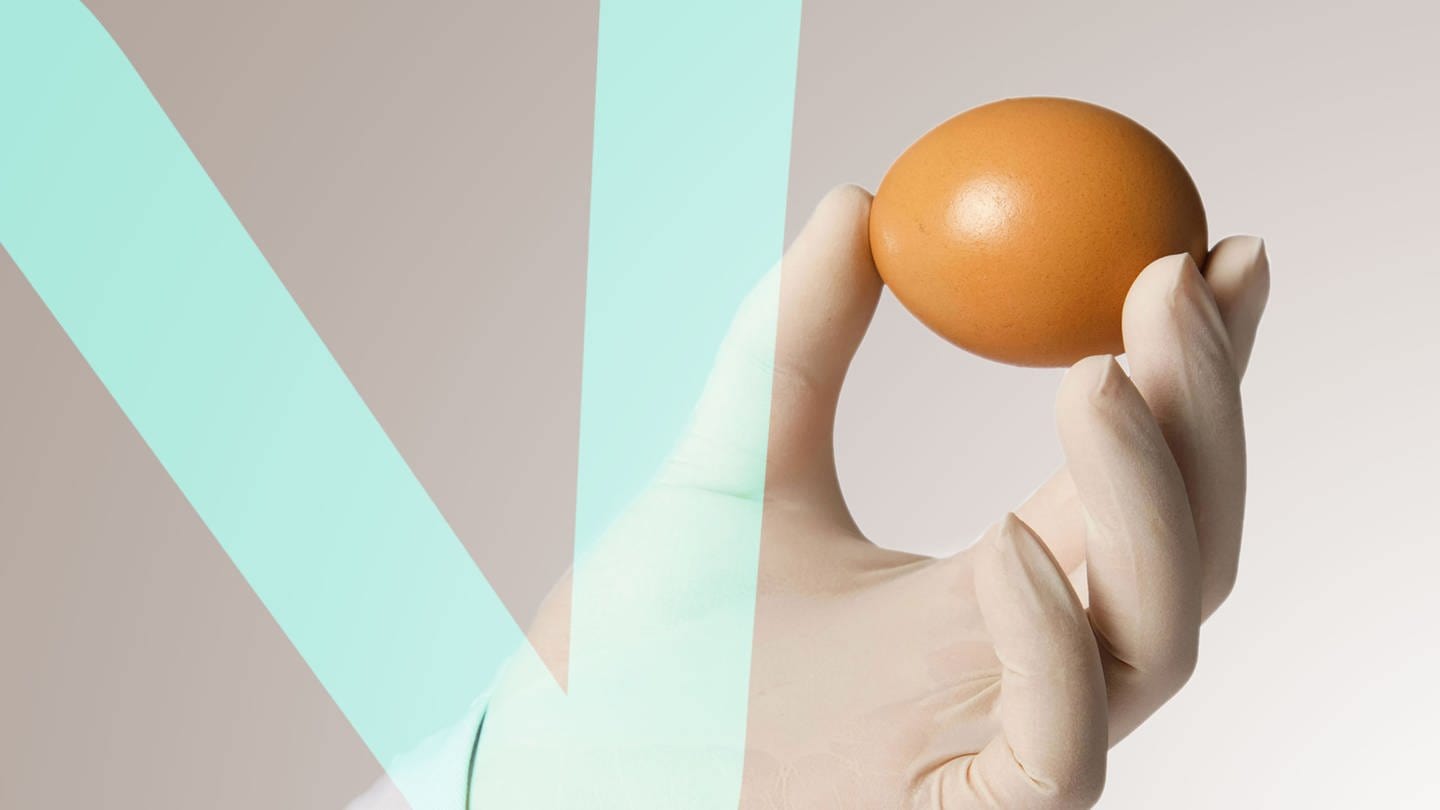 Handholding an egg (Foto: IMAGO, View Stock)