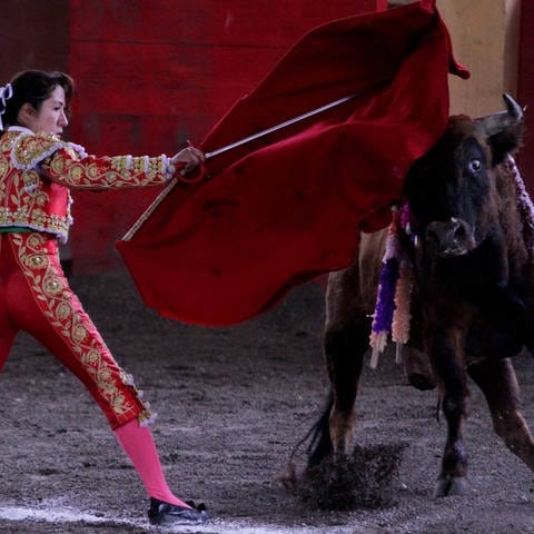 Toreras: Emanzipation im Stierkampf. Matadora Hilda Tenorio kämpft gegen einen Stier und gegen Diskriminierung