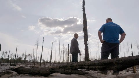 Zwei Männer - der Klimaforscher  Mojib Latif und ein Feuerwehrmann - stehen in einem Waldbrandgebiet in Mecklenburg-Vorpommern