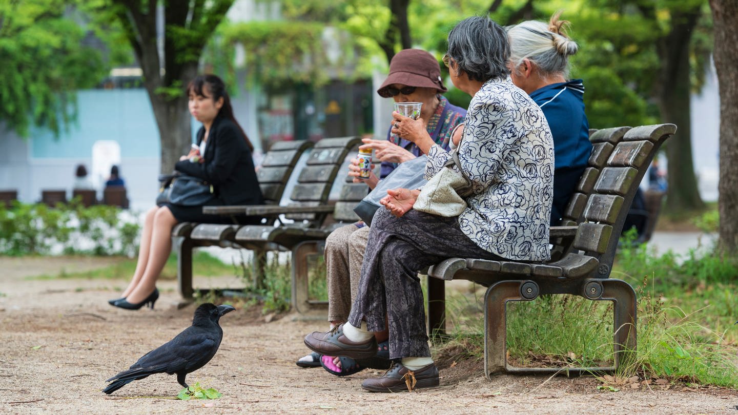 Fukuoka, Japan. Old ladies feeding birds in the city park (Foto: IMAGO, Pond5 Images)