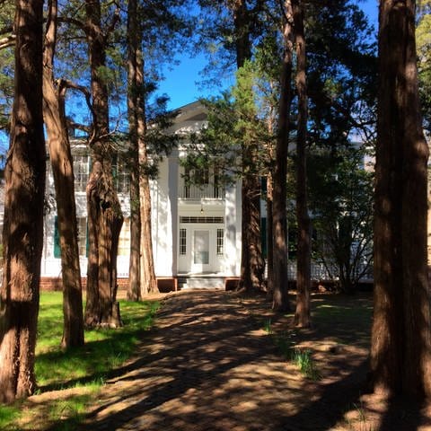 Rowan Oak House, the house where novelist William Faulkner lived with his family  (Foto: picture-alliance / Reportdienste, AP Photo | Beth J. Harpaz)
