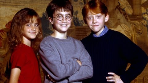Ausschnitt auf „Harry Potter: 20th Anniversary: Return to Hogwarts“