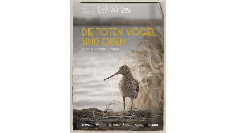 Filmplakat "Die toten Vögel sind oben"  (Foto: Real Fiction)