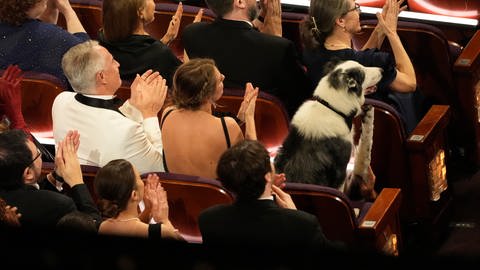 Messi der Hund bei den Oscars 