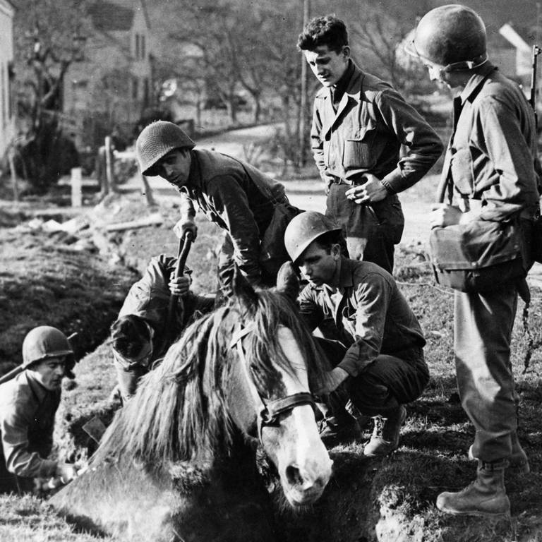 Infanteristen der dritten US-Armee befreien ein Pferd, dass in einen Graben gefallen war. (Foto: IMAGO, Leemage)