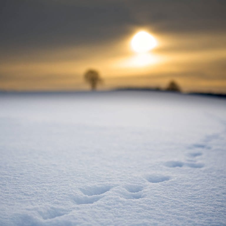 Der erste Schnee | Kinderhörspiel von Johan Bargum (Foto: IMAGO, imago)