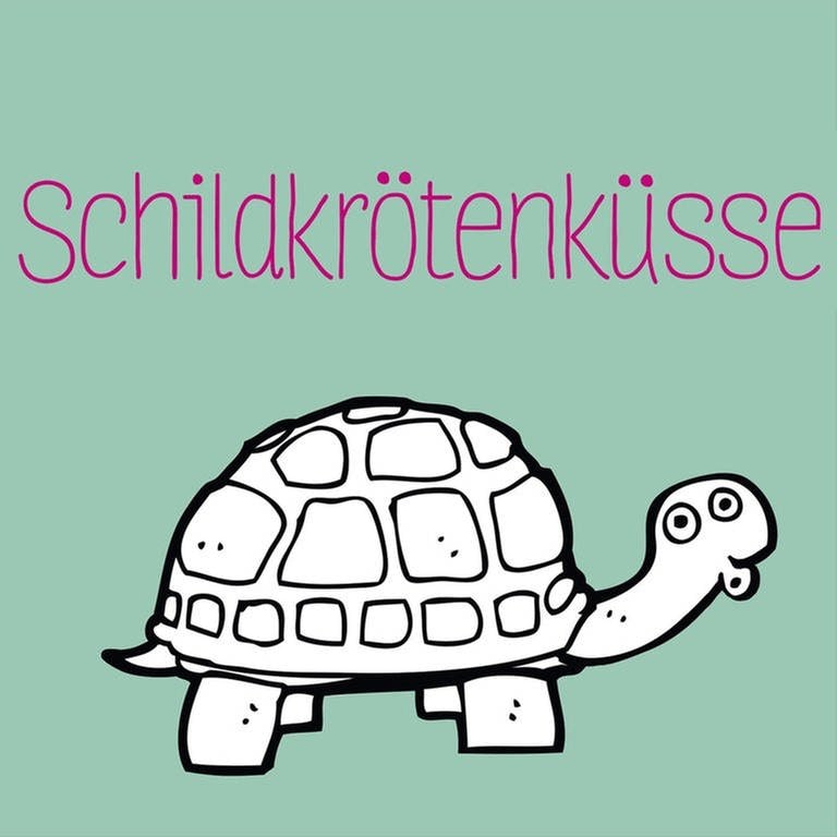 Illustration zum Kinderhörspiel und Jugendbuch  "Antonia rettet die Welt - Schildkrötenküsse" von Katrin Zipse