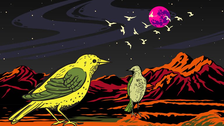 "Das war morgen" - Retro-Science-Fiction Podcast - Episode 51: "Das Vermächtnis der Moorvögel"