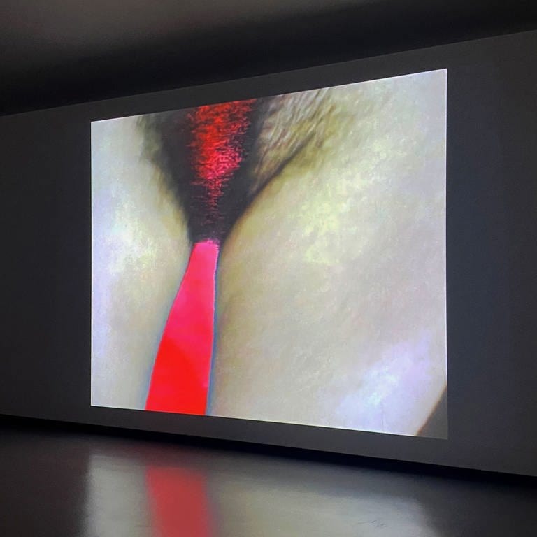 „Inner View“ - Videoinstallationen in der Kunsthalle Göppingen (Foto: SWR, Sophia Volkhardt)