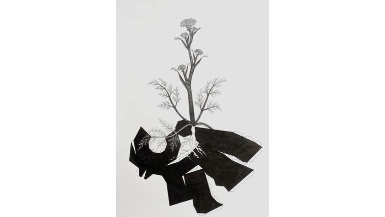Arbeit von Maria Grazia Sacchitelli: O.T. 2018 Fineliner auf Papier 40x30 cm. aus „Storia Naturale“ (Foto: Pressestelle, (c) Maria Grazia Sacchitelli)