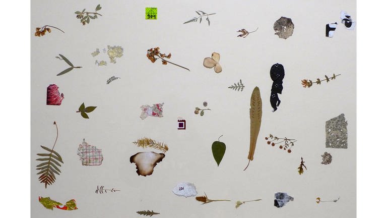 Arbeit von Maria Grazia Sacchitelli: O.T. 2019 Pflanzenteile und Abfallstücke auf Papier 70x100 cm. aus der Werkgruppe „Naturabilia“ (Foto: Pressestelle, (c) Maria Grazia Sacchitelli)
