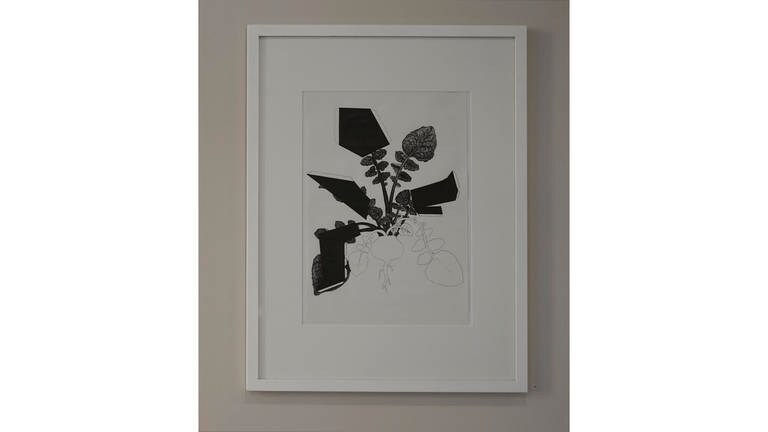 Arbeit von Maria Grazia Sacchitelli: O.T. 2018 Fineliner auf Papier, 40x30 cm. aus "Storia Naturale“ (Foto: Pressestelle, (c) Maria Grazia Sacchitelli)