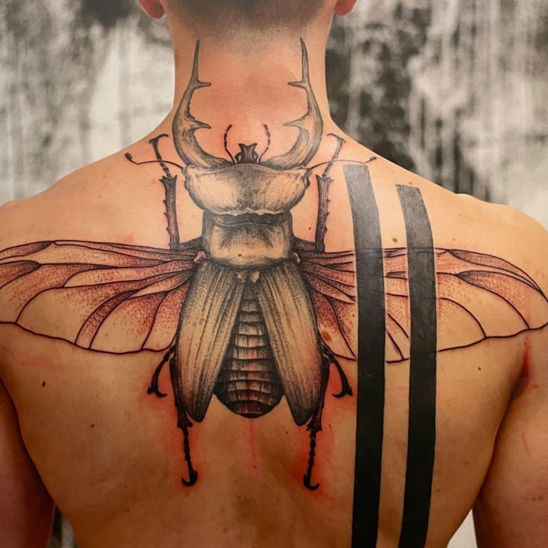 Insekten (Foto: SWR, Martina Senghas)