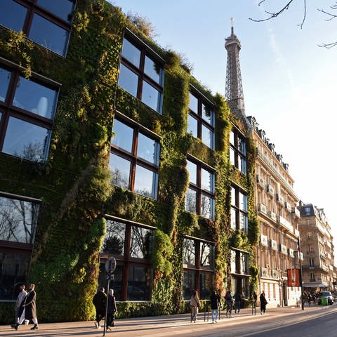 Grüne Wand des Museums Quai Branly in Paris (Foto: IMAGO, IMAGO / Andia)