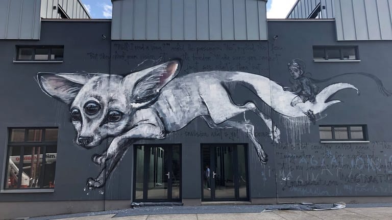 Ein Mural der Künstlerin HERA, alias Jasmin Siddiqui beim Projekt „Stadt.Wand.Kunst“ in Mannheim. (Foto: SWR, Marie-Dominique Wetzel)