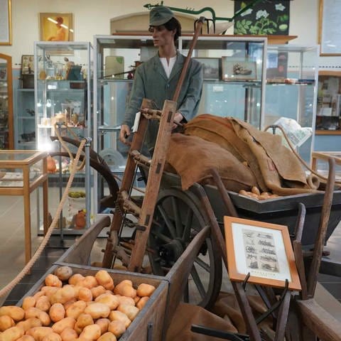 Deutsches Kartoffelmuseum in Fußgönheim