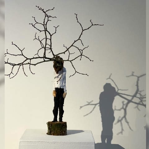 Ausstellung: "Bäume haben lange Gedanken", Edvardas Racevicius in der Galerie der Stadt Fellbach