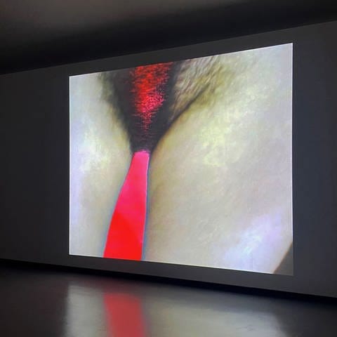 „Inner View“ - Videoinstallationen in der Kunsthalle Göppingen