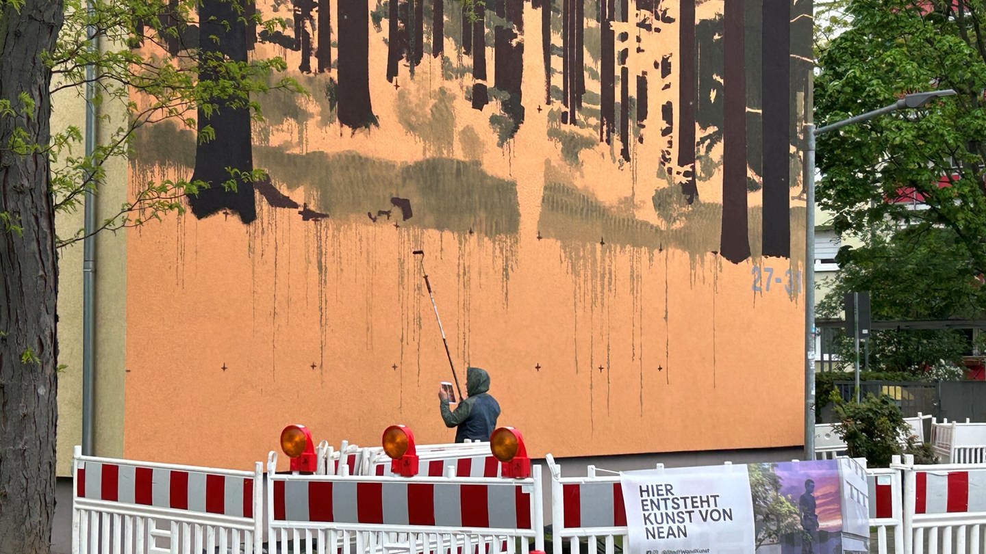 Der belgische Künstler NEAN eröffnet die Saison der Freiluft-Malerei mit einem großen Wandbild (Foto: SWR)