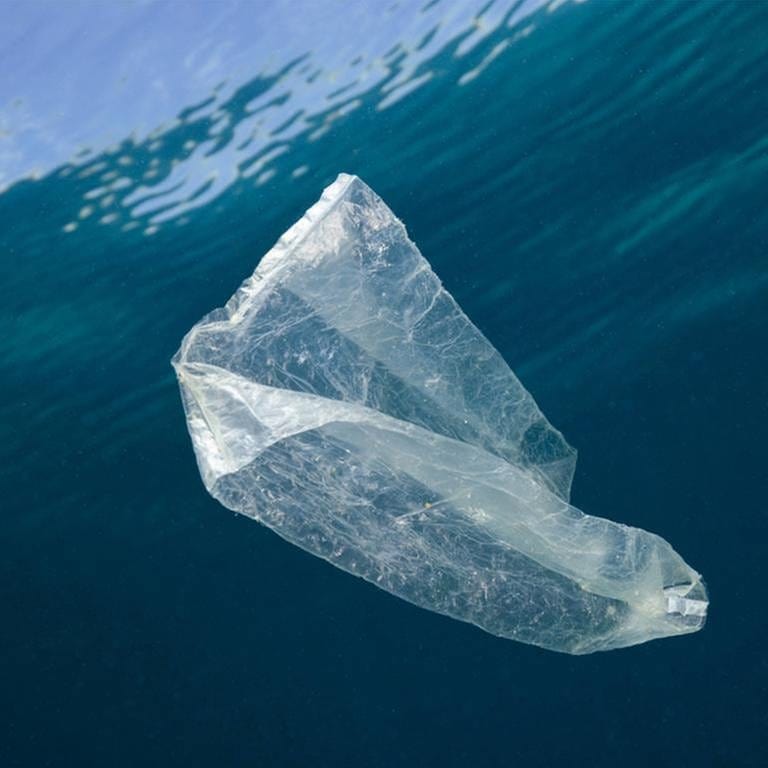 Eine Plastiktüte schwimmt im Meer (Foto: picture-alliance / dpa, picture-alliance / dpa - Dirschelrl Reinhard)