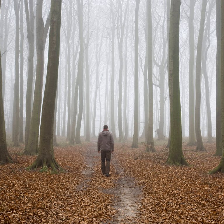 Junger Mann auf einem Waldweg (Foto: IMAGO, Shotshop)