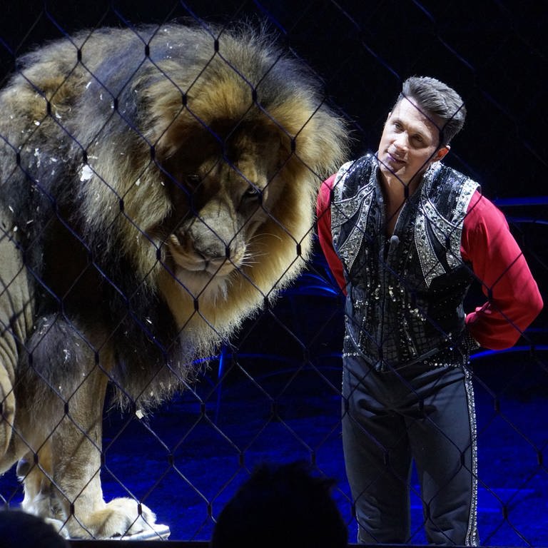 Alexander Lacey und einer seiner Löwen in der Manege (Foto: SWR, Rainer Schildberger)