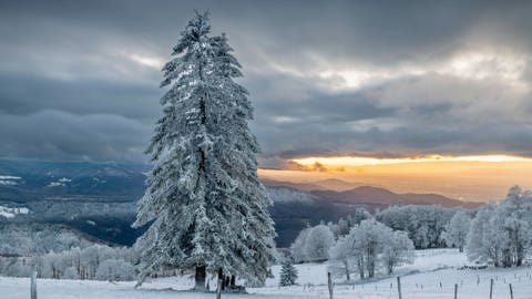 Winterlandschaft im Schwarzwald (Foto: IMAGO, imagebroker)