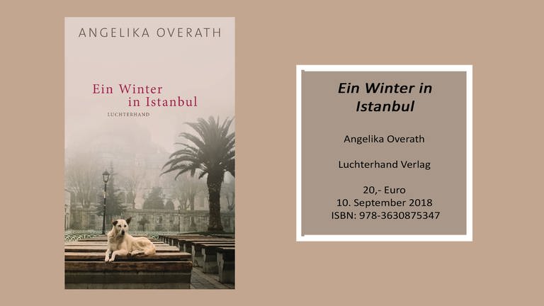 Ein Winter in Istanbul (Foto: Pressestelle, Luchterhand Verlag )