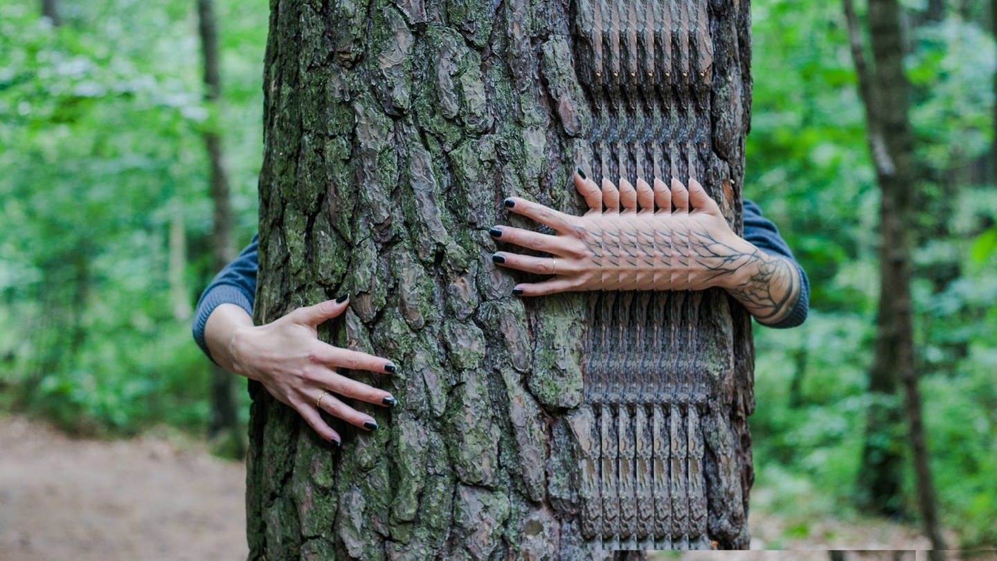 Jemand umarmt einen Baum (Foto: IMAGO, photocase)