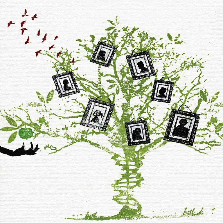 Bilder an einem Familienstammbaum, der wie eine DNA-Doppelhelix aussieht. (Foto: IMAGO, Icon Images)