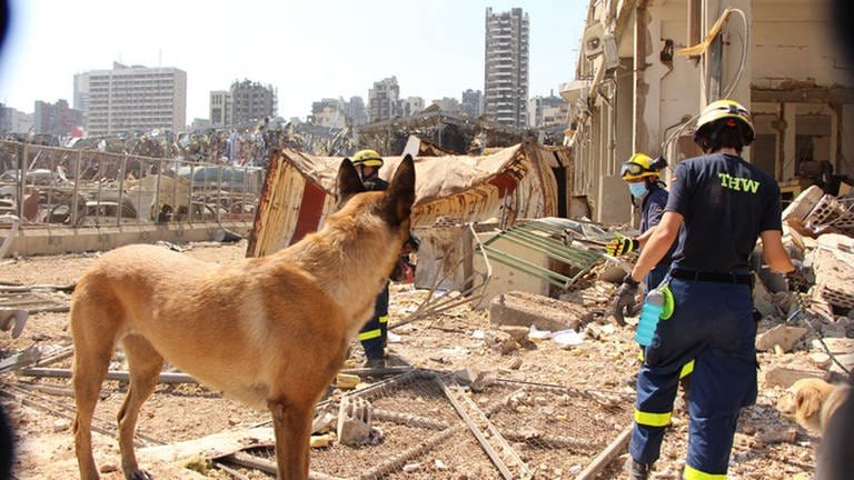 Nach den schweren Explosionen sind zahlreiche Gebäude in Beirut zerstört (Foto: Pressestelle, THW - Christian Wenzel)