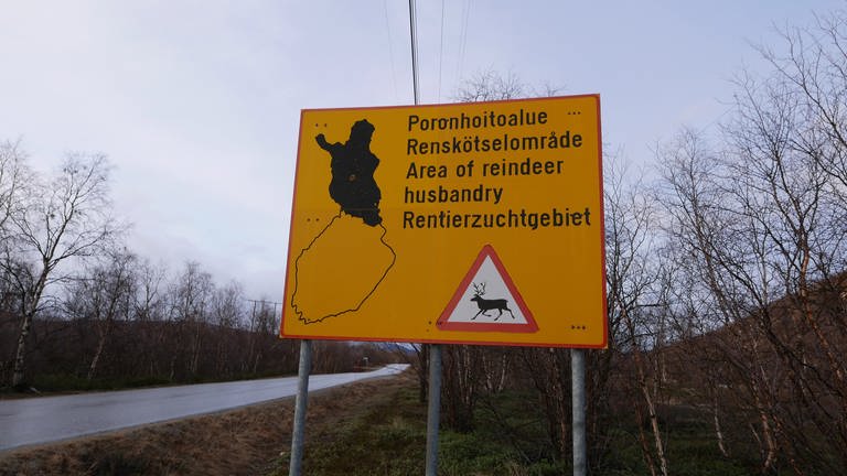 Finnisches Straßenschild: Renntierzuchtgebiet (Foto: Pressestelle, Päivi Leino)