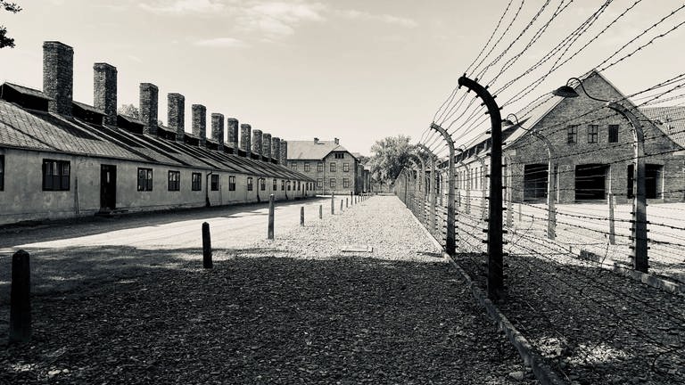 Stacheldrahtzaun und Baracken im Konzentrationslager Auschwitz - KZ Auschwitz I (Stammlager). (Foto: IMAGO, imago images / Stefan M Prager)