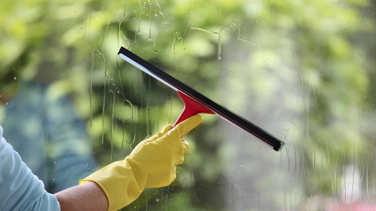 Fensterreinigung beim Frühjahrsputz (Foto: IMAGO, PPE)