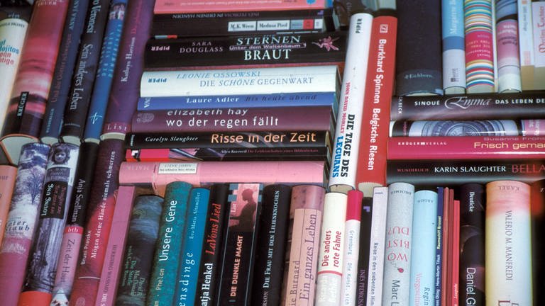 Büchersammlung - Gefülltes Bücherregal mit Romanen von unterschiedlichsten Schriftstellern (Foto: IMAGO, Steinach)