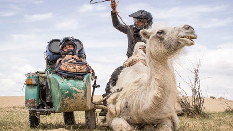 Neben dem Beiwagen eines Motorrads, in dem jemand mit Helm sitzt, liegt ein weißes Kamel, auf dem der Motorradfahrer sitzt und ein Seil in der Hand hat, mit dem der Beiwagen abgeschleppt werden soll