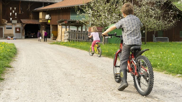 Ein Mädchen und ein Junge fahren Rad auf einer Farm